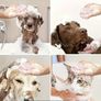 NEW PINK dog grooming sponge Image 2