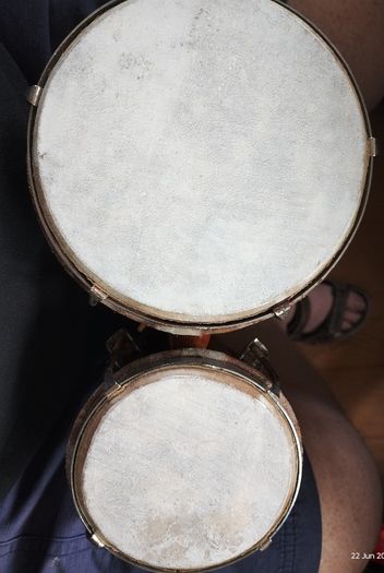Set of bongos (26224)