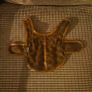 small dog clothes Image 4