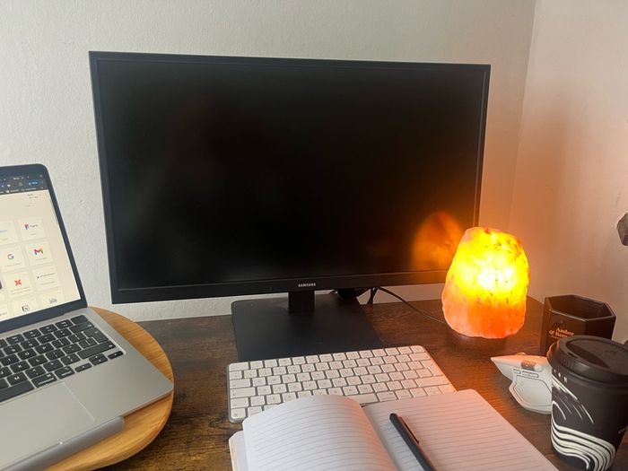 Samsung 24 Inch 60Hz FHD Monitor
