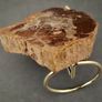 Fossilized wood, Madagascar, Triassic period. Image 2