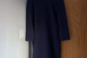 Phase Eight Dress