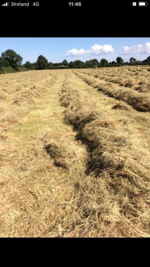 Small square bales of hay
