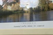 Desmond Castle , Adare , John Hinde print