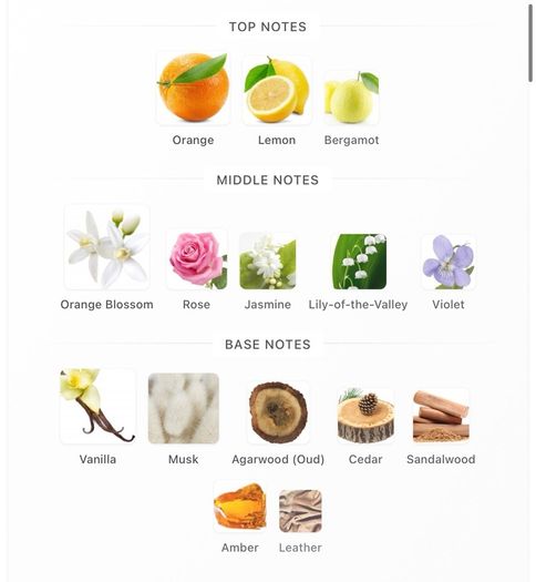 Pana Dora: Dorasima Discovery Samples