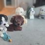 9 x Bundle Vintage Flocked Puppy Kitty Jungle in my Pocket some HTF 90s Image 2