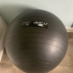 Exercise ball