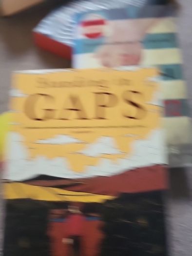 Standing in Gaps.    Seamus O'Rourke