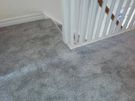 Carpet Image 5