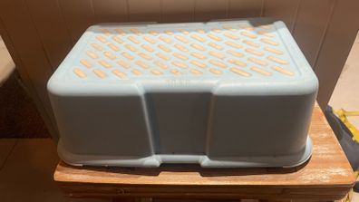 children's step stool