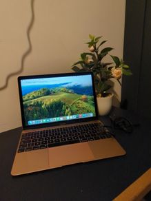 MacBook 12 2017 - 256GB 8GB - Intel m3 - Pristine