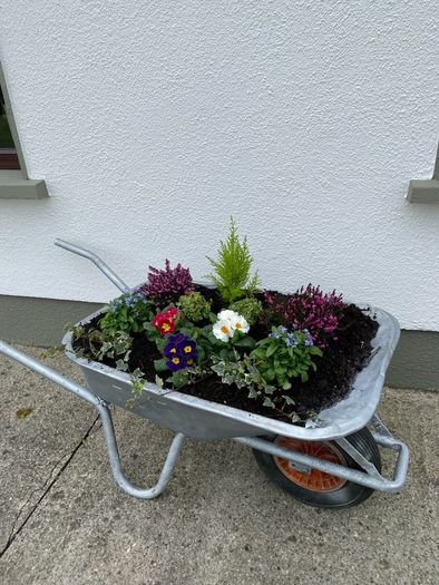 wheelbarrow planter