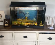 fish tank