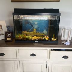 fish tank