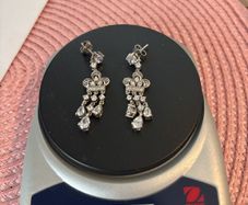 silver  earrings with stones