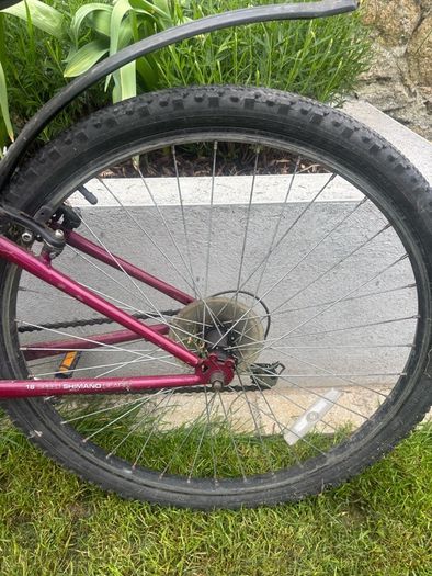 Raleigh  bike