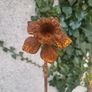 Corten steel Daffodil flower stems Image 3