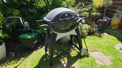 Weber Q3000