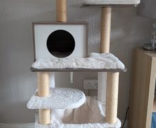 Multi Level Cat Tree Excellent Condition
