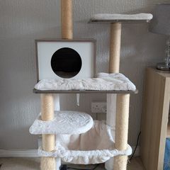 Multi Level Cat Tree Excellent Condition