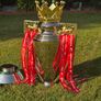 Premier League Trophy Image 3