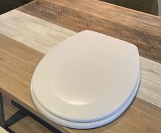 unused toilet seat
