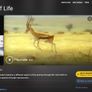David Attenborough: Trials Of Life - The Complete Series DVD (2005) Image 7