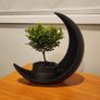 Crescent Moon Decoration With Elliptical Plant Pot Image 2
