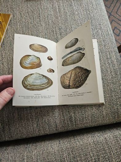 Animals And Plans Of The Sea. Authors: G. Mandahl-barth And M.l. Bauchot  Illustrator: Henning Anthon  Publisher: Fernand Nathan. Beautiful Illustrated Paperback In Good Condition.  See Photos For Same.