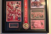 Liverpool FC Premier League Champions replica medal framed