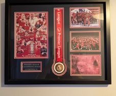 Liverpool FC Premier League Champions replica medal framed