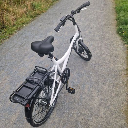 Assist hybrid electric bike