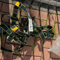 safety harness