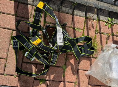 safety harness
