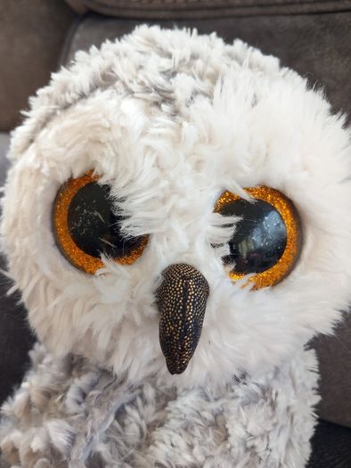 TY Owl Soft Toy
