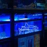 Shark Led Neon Sign for Bedroom Blue Neon Signs Wall Decorative 17''x9'' Acrylic USB Powered Image 5