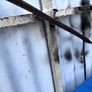 Antique cast iron horse trap springs Image 8