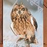 Fauna Postcards Image 5