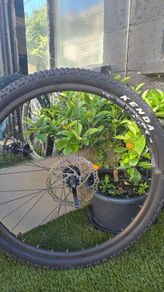 wheel