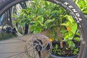 wheel