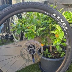 wheel