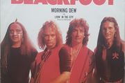 Blackfoot 12" - Morning Dew