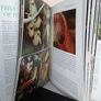 The Private Life of Plants: A Natural History of Plant Behaviour by David Attenborough (PT119) Image 6