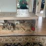 Hamster home Image 4