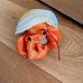 Hermit Crab stuffed animal Image 2