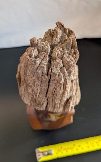 African Burl Wood Head Hand Carved Woman Bust Zambia Style 28cm