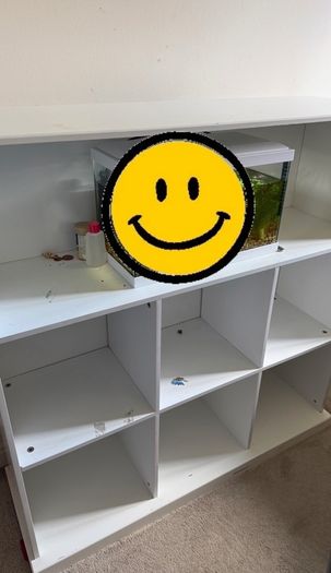 kallax shelves