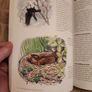 Garden Bird Behaviour. Robert Burton. How To Recognise And Everyday Bird Activities. First Edition Large Volume Paperback In Good Condition. Image 10