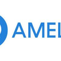 Amelio Utilities Jobs in Ireland