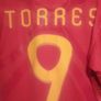 Fernando Torres Techfit 2010 World Cup Jersey Image 2